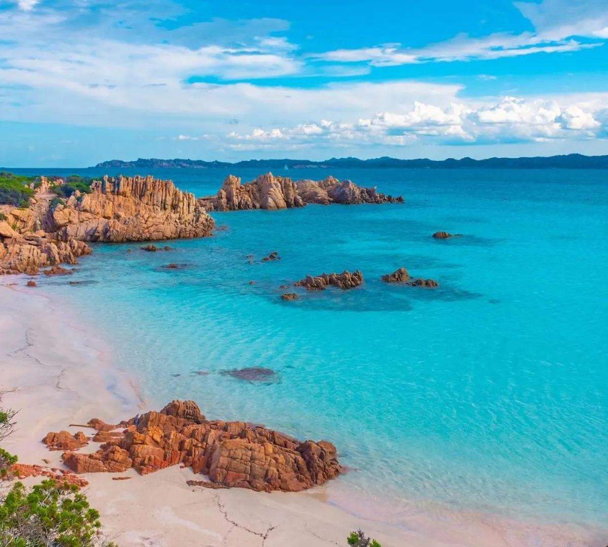 Sogno Blu Alla Maddalena Lägenhet